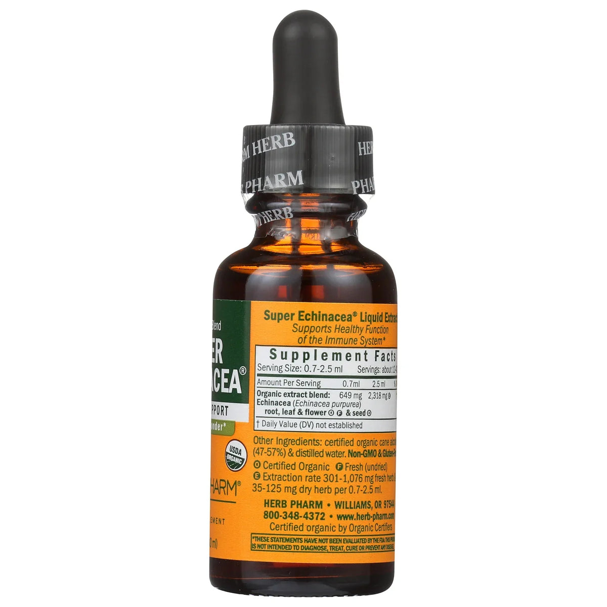 Super Echinacea